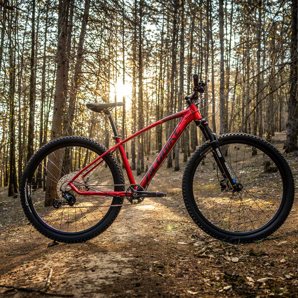 Bicicleta Alubike XTA 3.0 29"