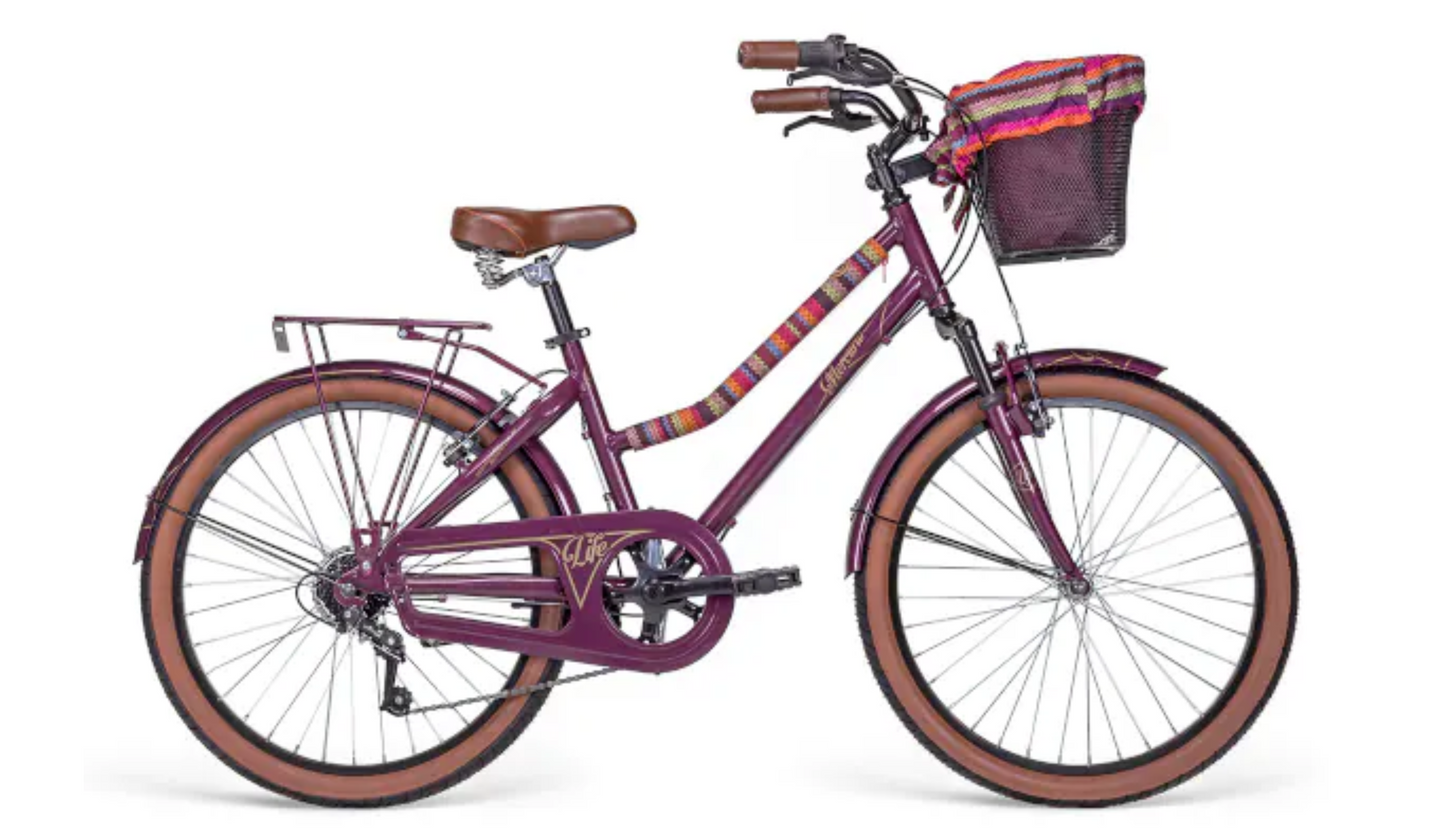 Bicicleta Mercurio Life 24