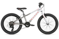 Bicicleta Flightline 20 Plus