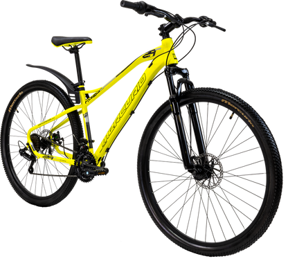 Bicicleta Mercurio Kaizer 29"