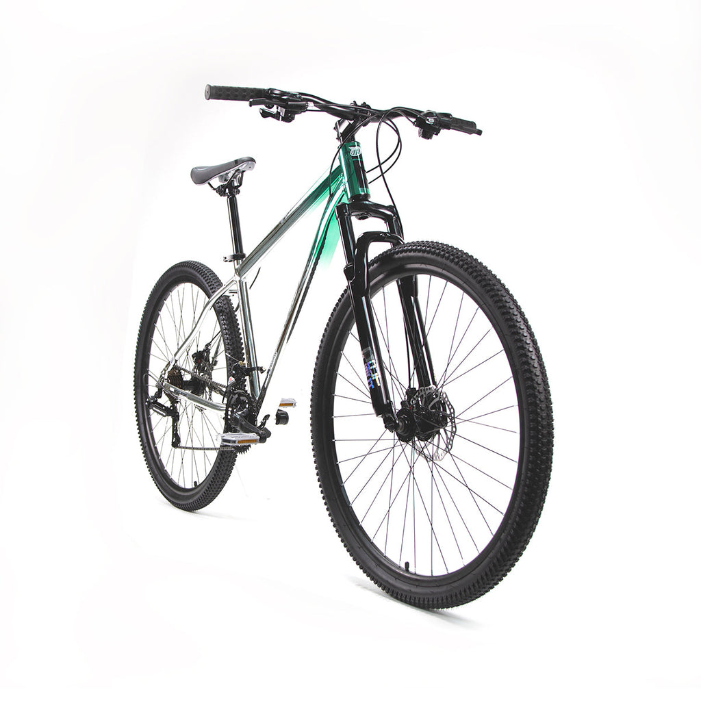 Bicicleta Mercurio Blackout 29