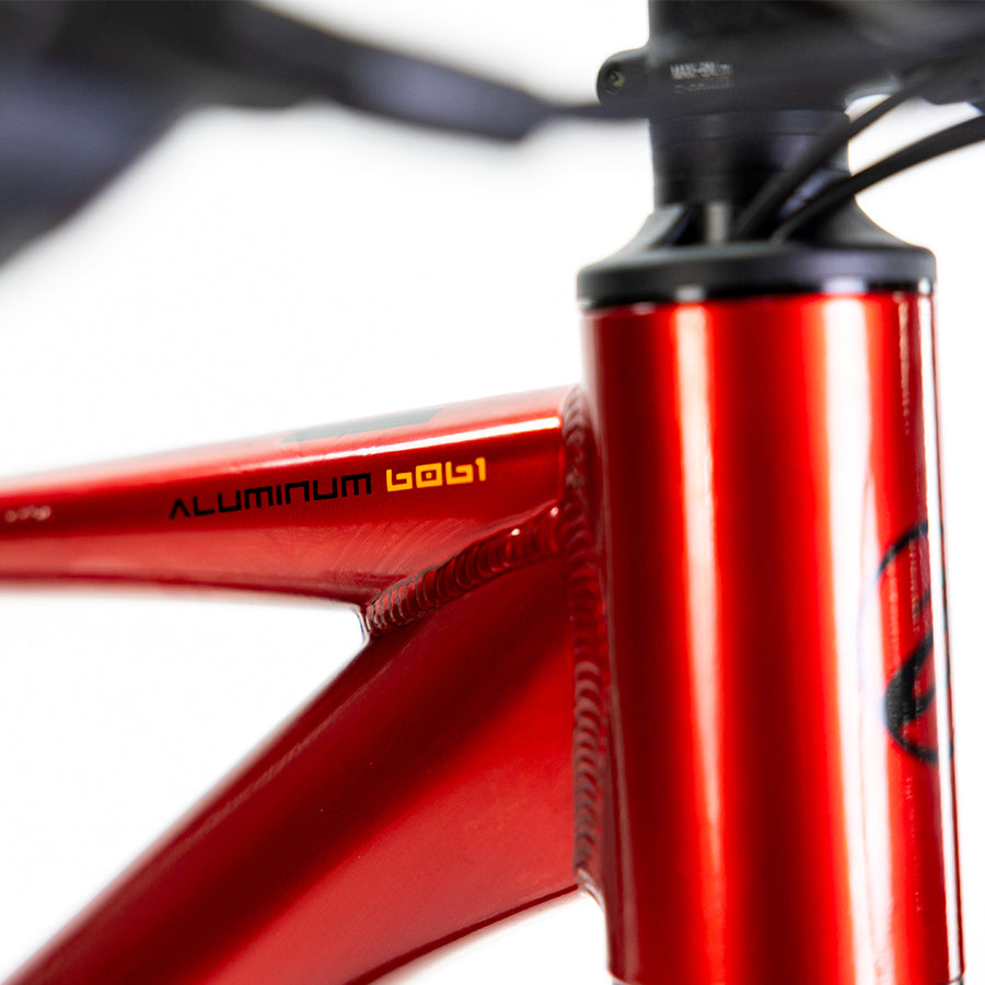 Bicicleta Alubike XTA 2.0 29"