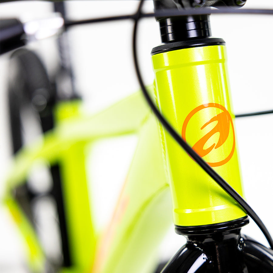 Bicicleta Alubike Sierra 20"