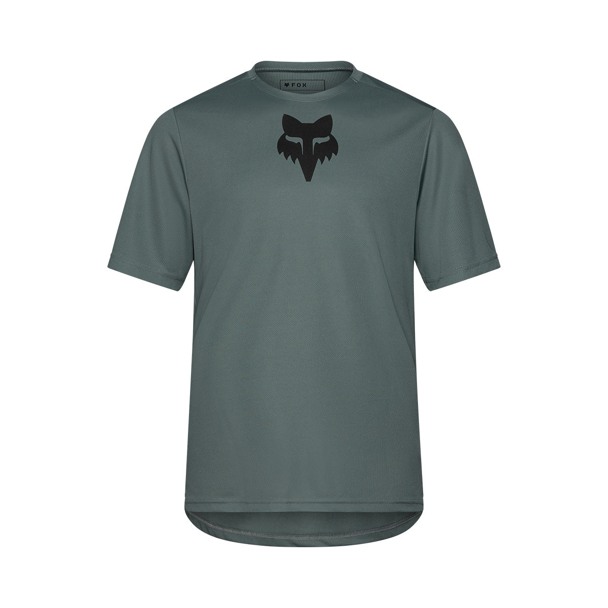 Jersey Fox Ranger Head