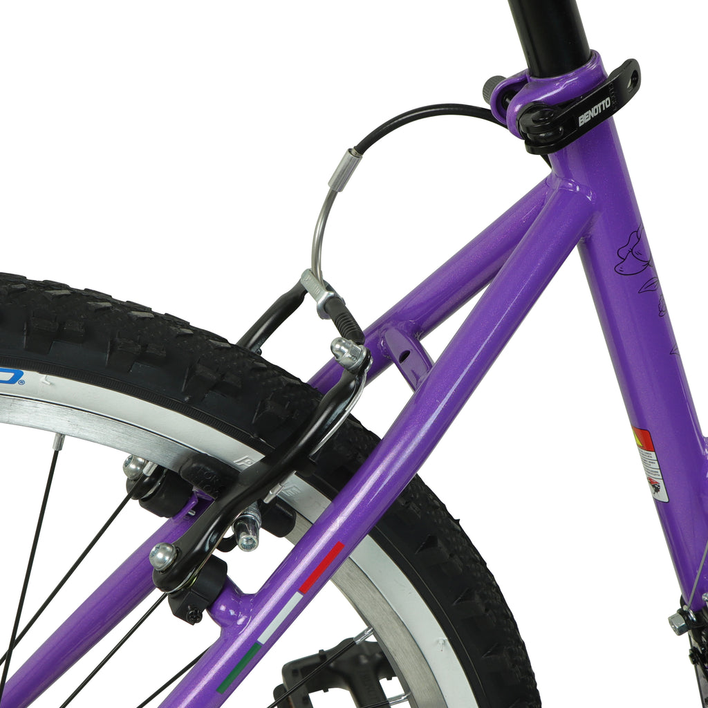 Bicicleta Benotto Florida 24"