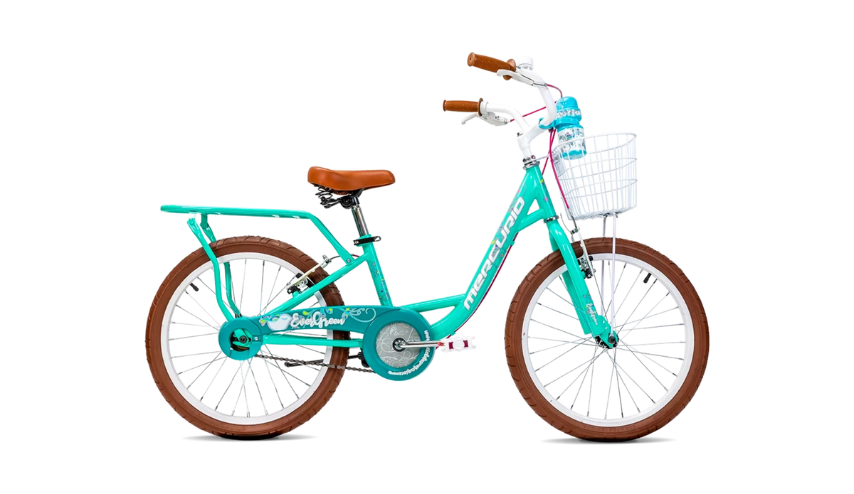 Bicicleta Mercurio Evergreen 20"