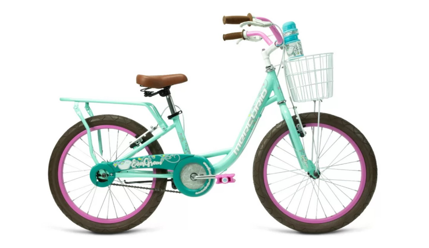 Bicicleta Mercurio Evergreen 20"